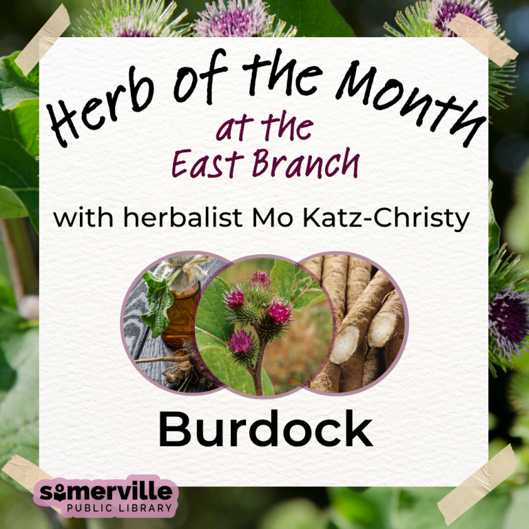 Transcript: Herb of the month at the east branch with herbalist mo katz-christy. Burdock.
