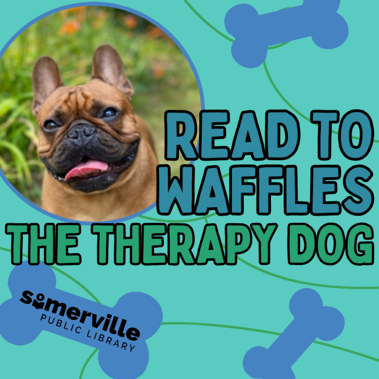 Transcript: Read to Waffles, the therapy dog.
