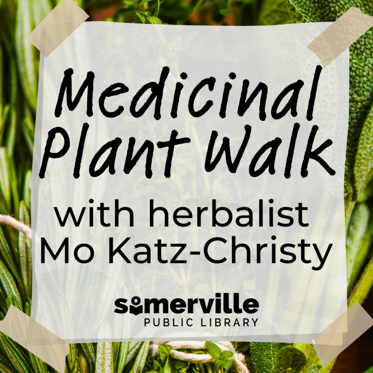 A photo of bundles of herbs. Text reads "medicinal plant walk with herbalist Mo Katz-Christy."