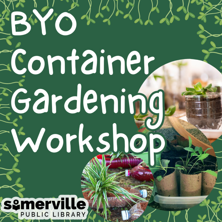 Various photos of plans in recycled water bottles and cardboard tubes. Text reads "BYO container gardening workshop."