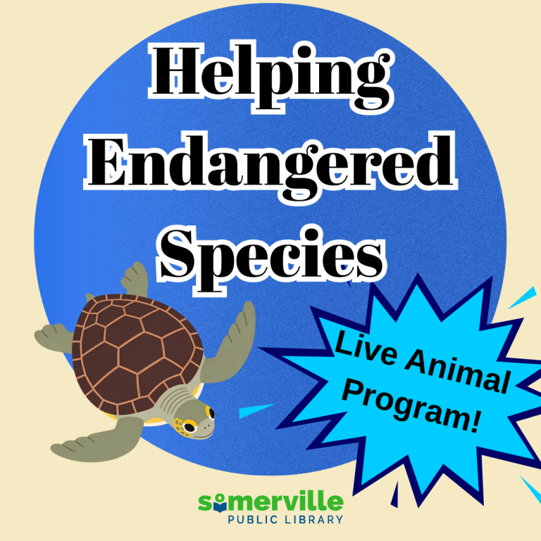A graphic promoting a "Helping Endangered Species" live animal program at the Somerville Public Library, featuring a sea turtle and the library's logo.